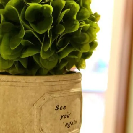 Sunny Flat In The Center Of Tirana, 2 Min. Walk Apartamento *